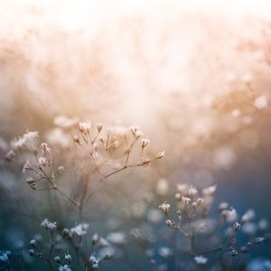 🌼Meet your Posher🌼